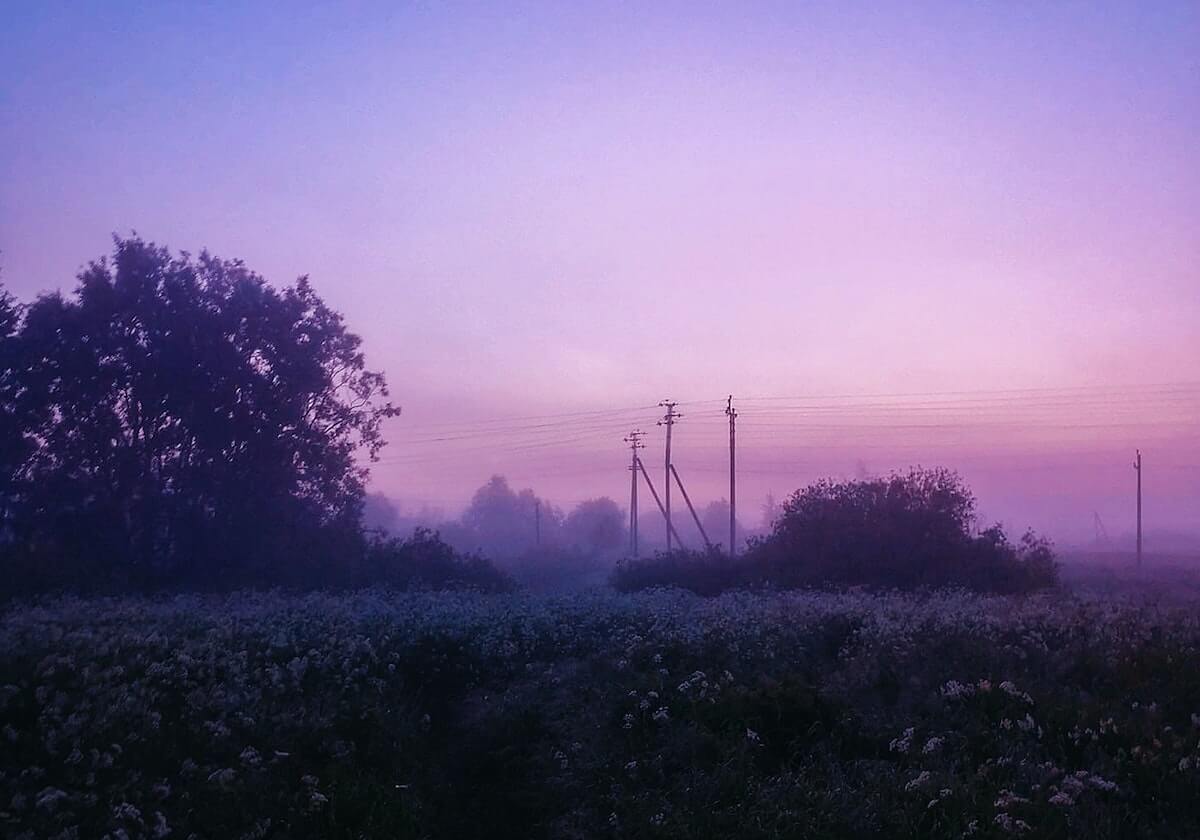 Kaiyun.com：云端赋能创业与数字化转型的新引擎